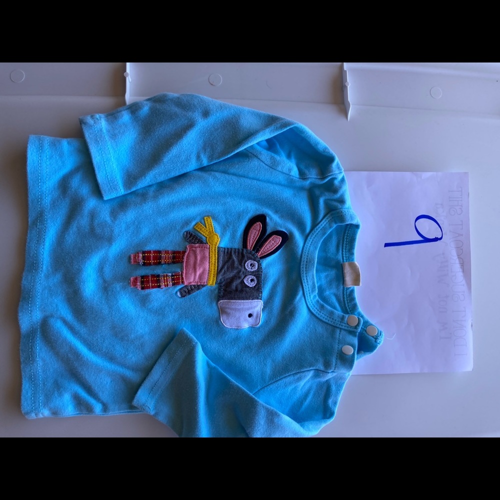 Donkey shirt with fun great colors